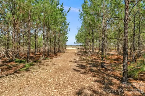 931 Charlie Johnson Road Kershaw SC 29067