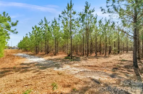 931 Charlie Johnson Road Kershaw SC 29067