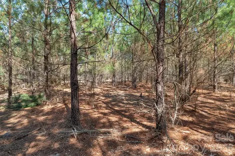 931 Charlie Johnson Road Kershaw SC 29067