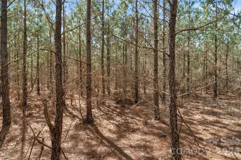 931 Charlie Johnson Road Kershaw SC 29067