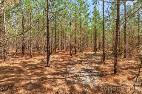 931 Charlie Johnson Road Kershaw SC 29067