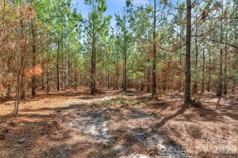 931 Charlie Johnson Road Kershaw SC 29067