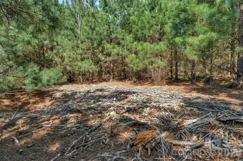 931 Charlie Johnson Road Kershaw SC 29067