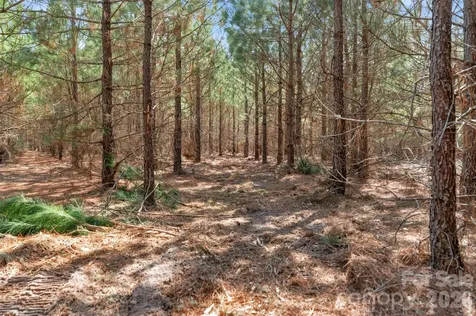 931 Charlie Johnson Road Kershaw SC 29067