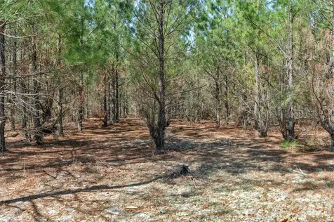 931 Charlie Johnson Road Kershaw SC 29067