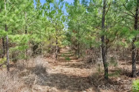 931 Charlie Johnson Road Kershaw SC 29067