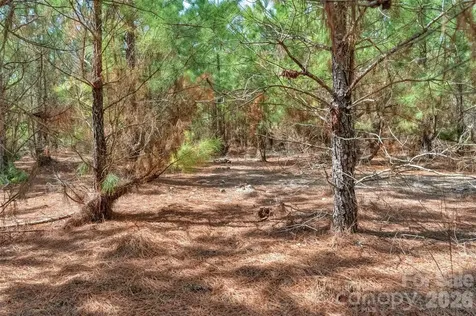 931 Charlie Johnson Road Kershaw SC 29067