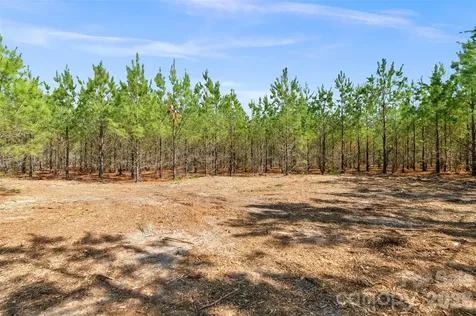 931 Charlie Johnson Road Kershaw SC 29067