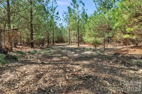 931 Charlie Johnson Road Kershaw SC 29067