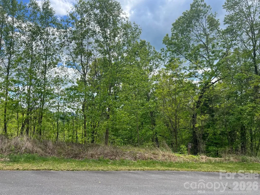 531 Roca Vista Drive Lenoir NC 28645