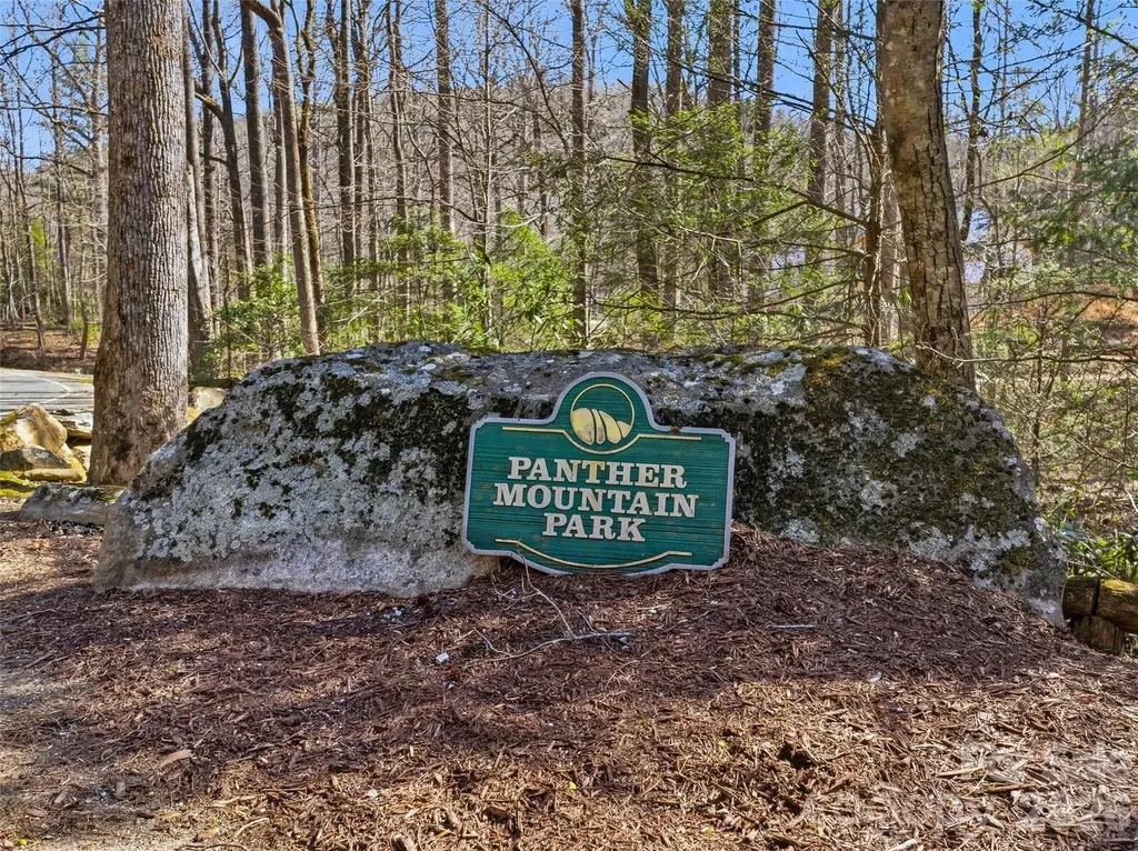 Tbd Panther Mountain Road Zirconia NC 28790