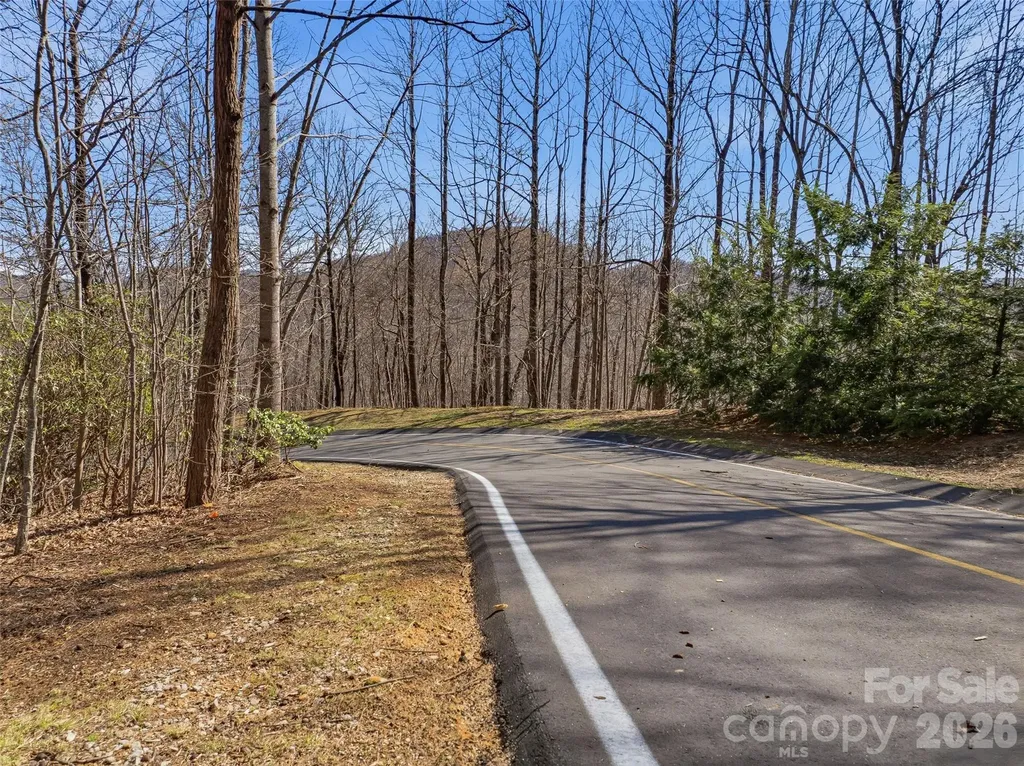 Tbd Panther Mountain Road Zirconia NC 28790