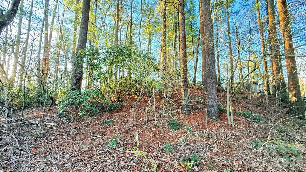 00 Toms Park Circle Hendersonville NC 28792