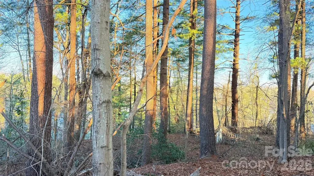 00 Toms Park Circle Hendersonville NC 28792