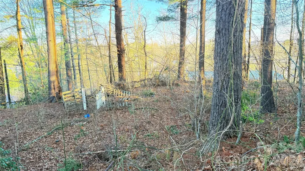 00 Toms Park Circle Hendersonville NC 28792