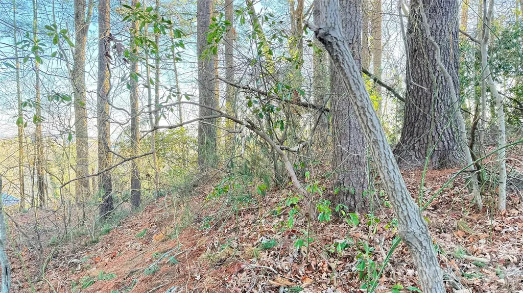 00 Toms Park Circle Hendersonville NC 28792