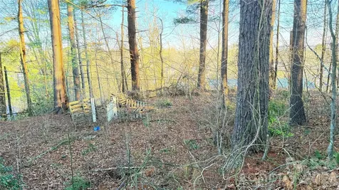 00 Toms Park Circle Hendersonville NC 28792
