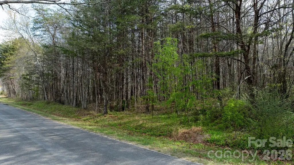 Tbd Joe Branch Road Nebo NC 28761