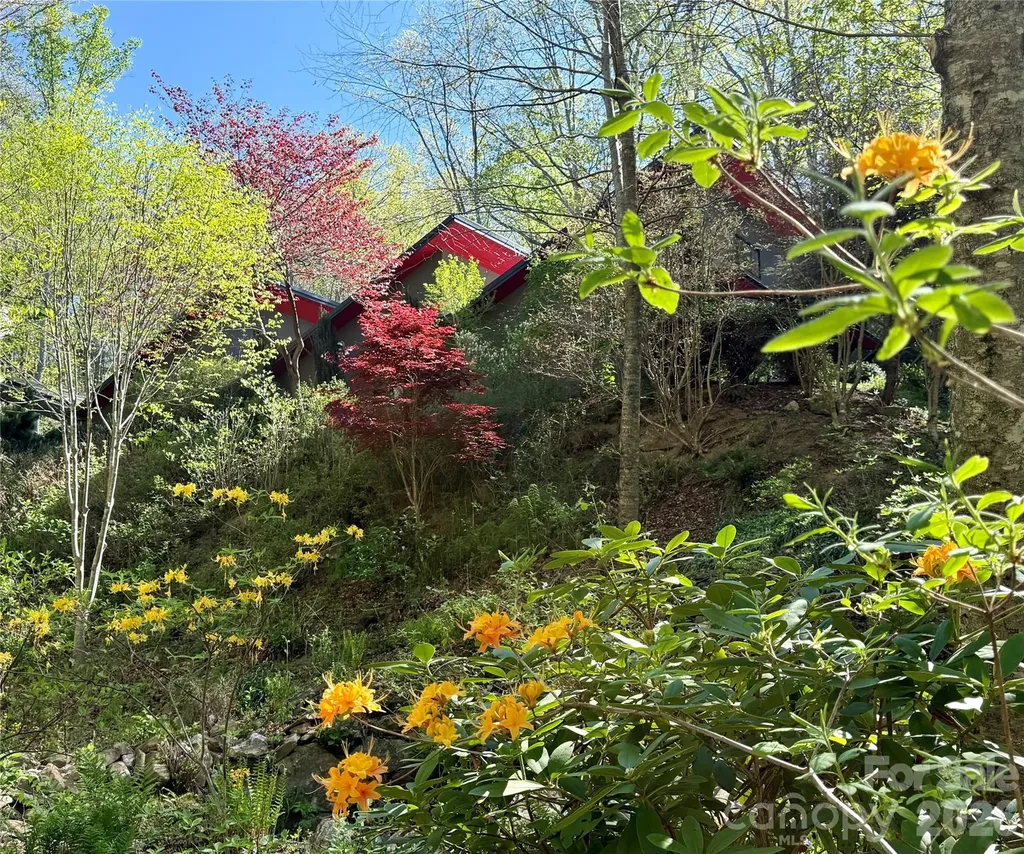33 Robinson Creek Road Asheville NC 28803