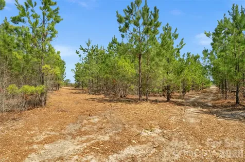 931 Charlie Johnson Road Kershaw SC 29067