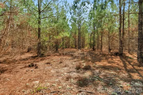 931 Charlie Johnson Road Kershaw SC 29067