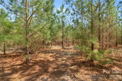 931 Charlie Johnson Road Kershaw SC 29067