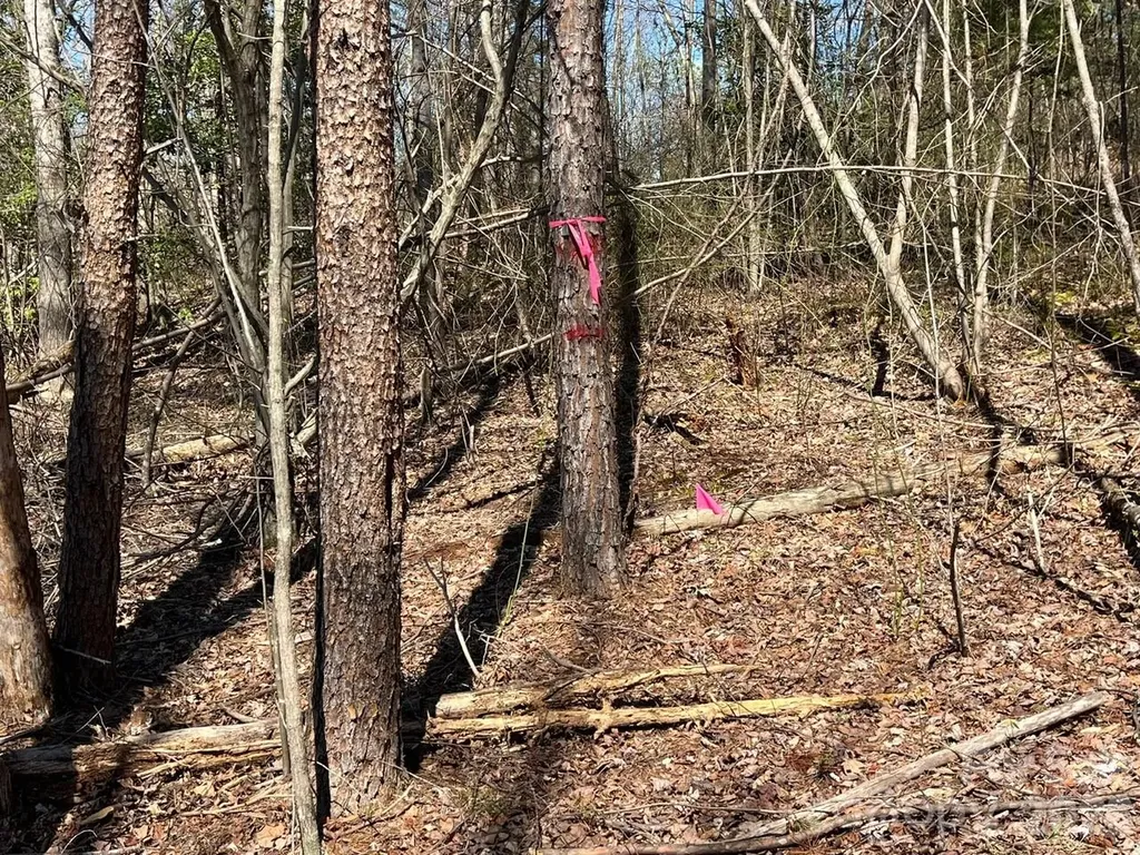 V/l Vein Mountain Road Nebo NC 28761