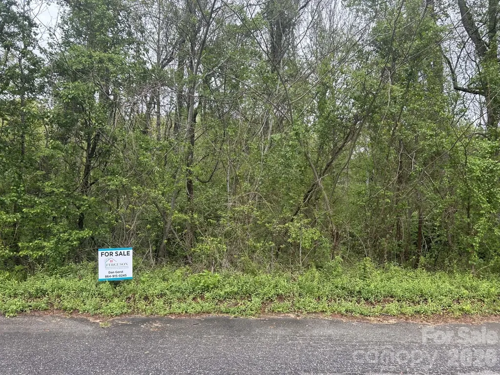 0 Lynnbrook Way Columbus NC 28722