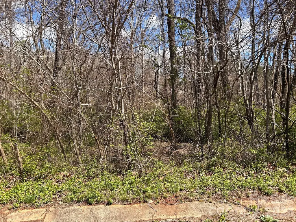 0 Lynnbrook Way Columbus NC 28722