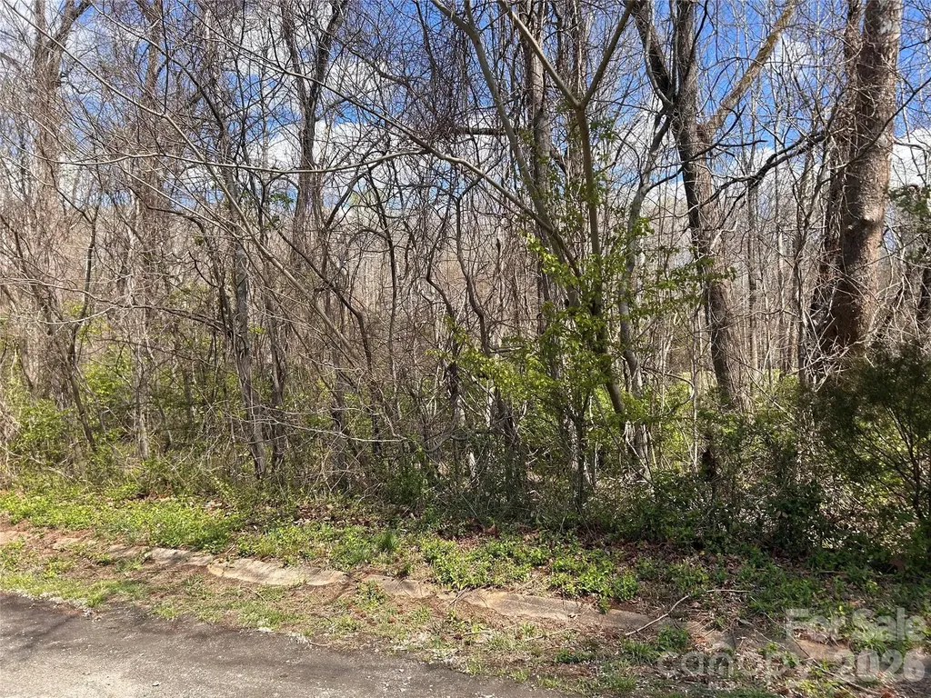 0 Lynnbrook Way Columbus NC 28722