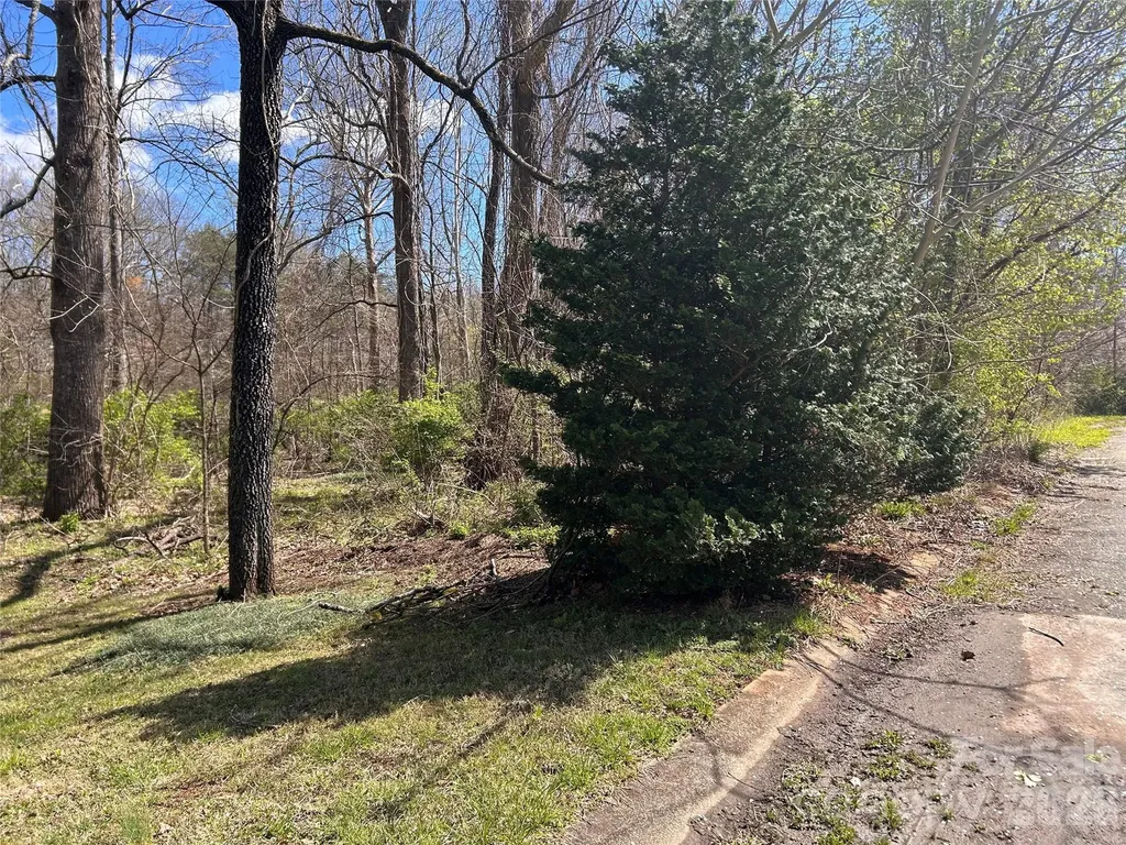 0 Lynnbrook Way Columbus NC 28722
