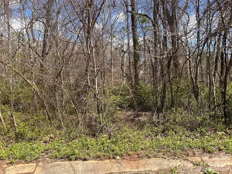 0 Lynnbrook Way Columbus NC 28722