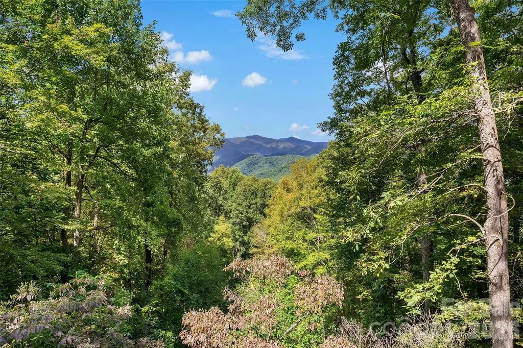 68 Lakey Gap Heights Black Mountain NC 28711