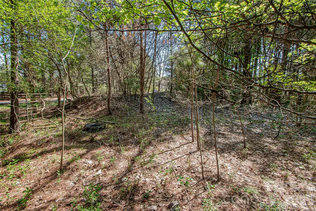 0 Michelle Court Matthews NC 28104