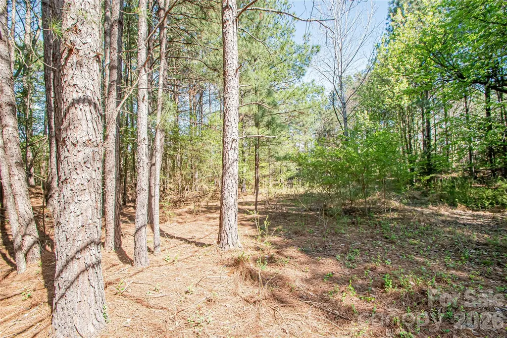 0 Michelle Court Matthews NC 28104