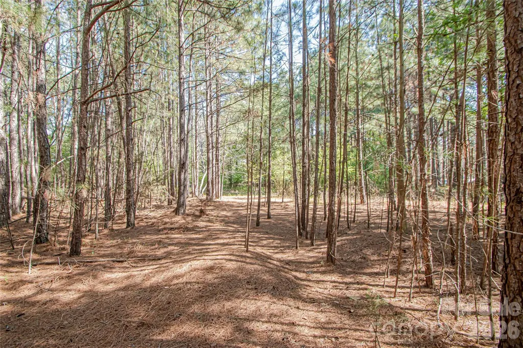 0 Michelle Court Matthews NC 28104