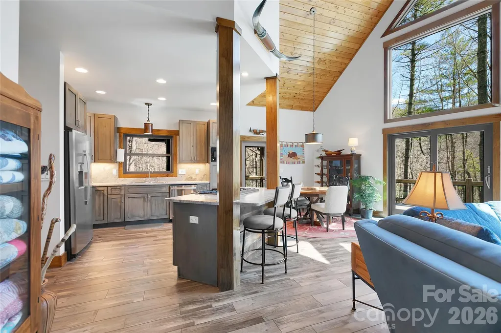 70 Unvdatlvi Court Brevard NC 28712