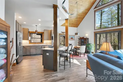 70 Unvdatlvi Court Brevard NC 28712