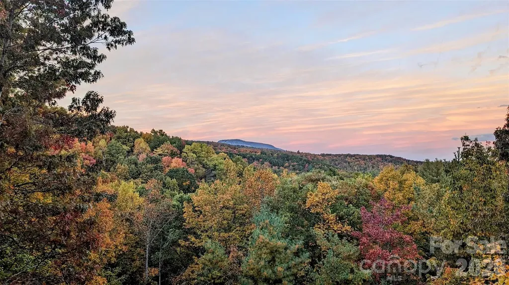 9147 Shortoff View Terrace Nebo NC 28761