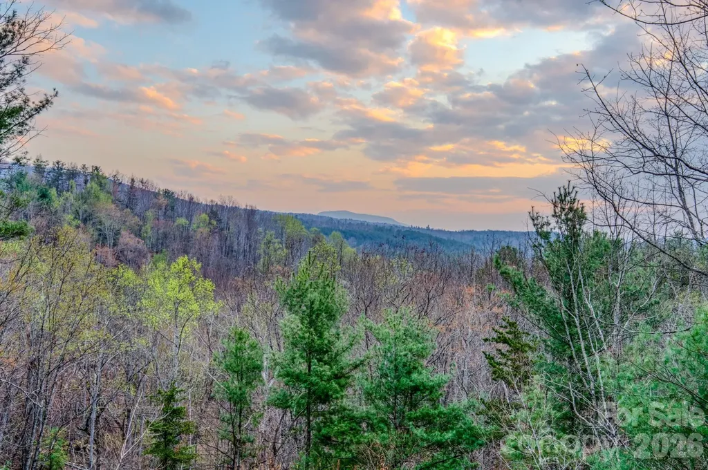 9147 Shortoff View Terrace Nebo NC 28761