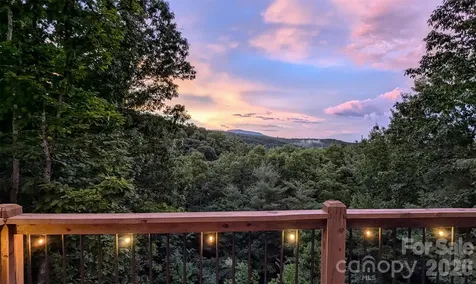 9147 Shortoff View Terrace Nebo NC 28761