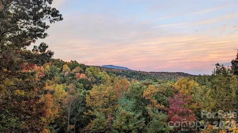 9147 Shortoff View Terrace Nebo NC 28761