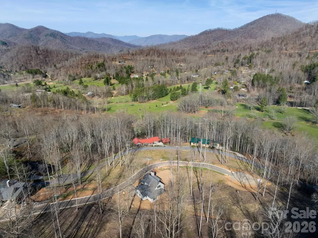 100 Bear Tree Cove Canton NC 28716