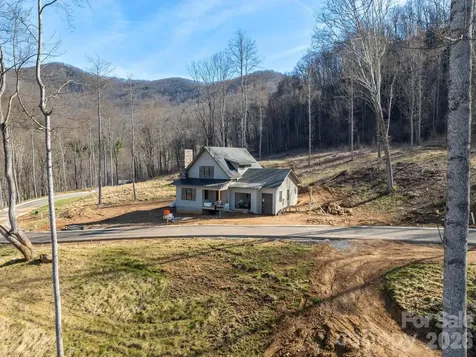 100 Bear Tree Cove Canton NC 28716