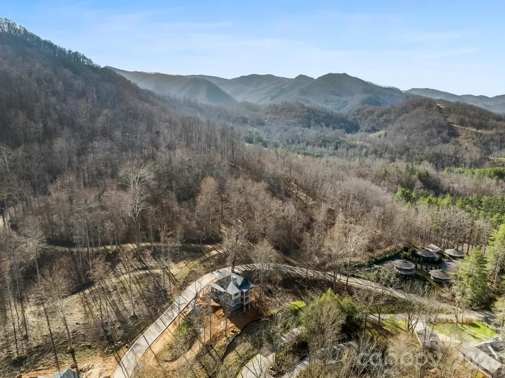 51 Bear Tree Cove Canton NC 28716