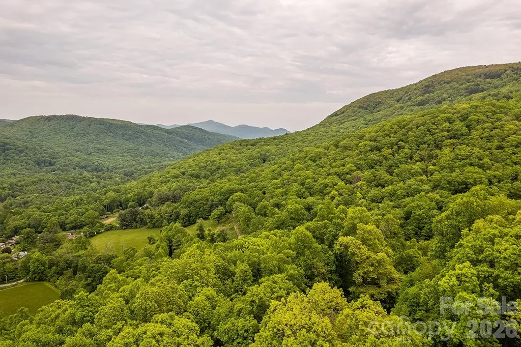 176 Mcguffey Ridge Road Gerton NC 28735