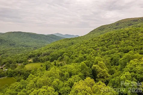 176 Mcguffey Ridge Road Gerton NC 28735