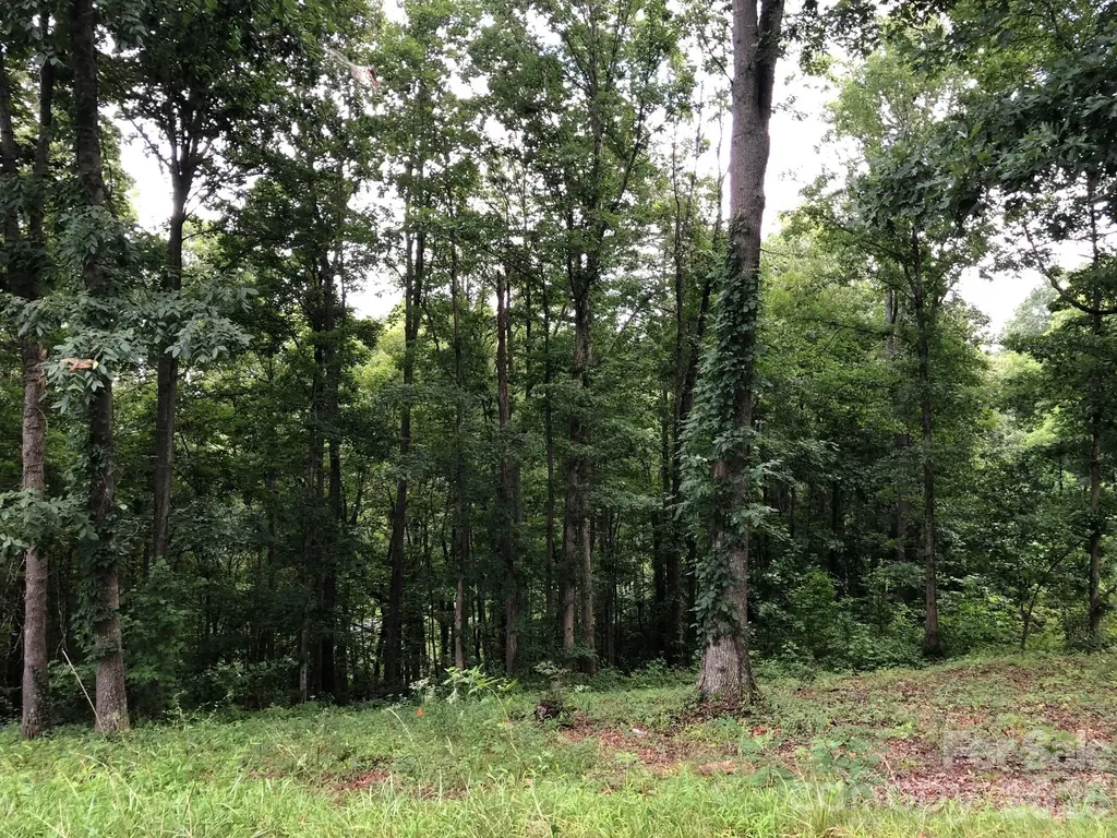 45 Sweet Fern Parkway Asheville NC 28804