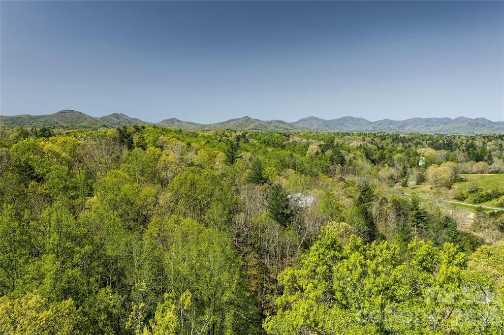 45 Sweet Fern Parkway Asheville NC 28804