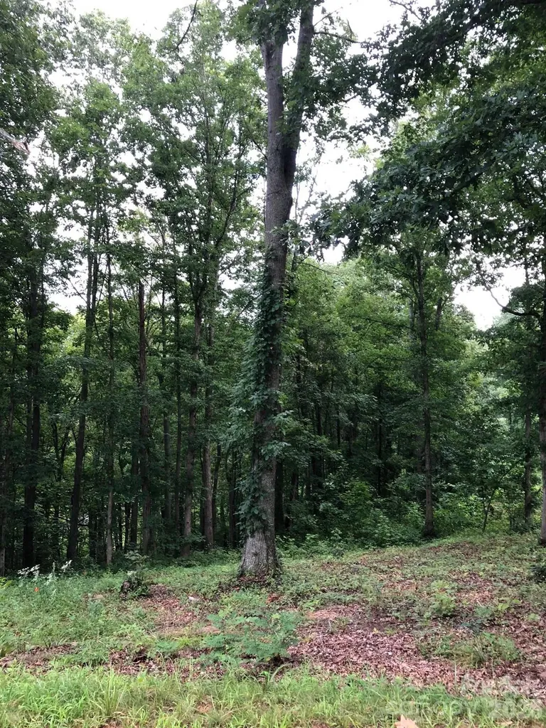 45 Sweet Fern Parkway Asheville NC 28804